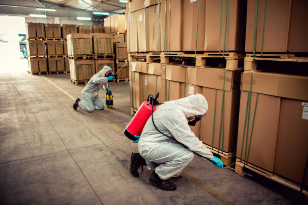 Trusted Westwood Lakes, FL Pest Control Experts