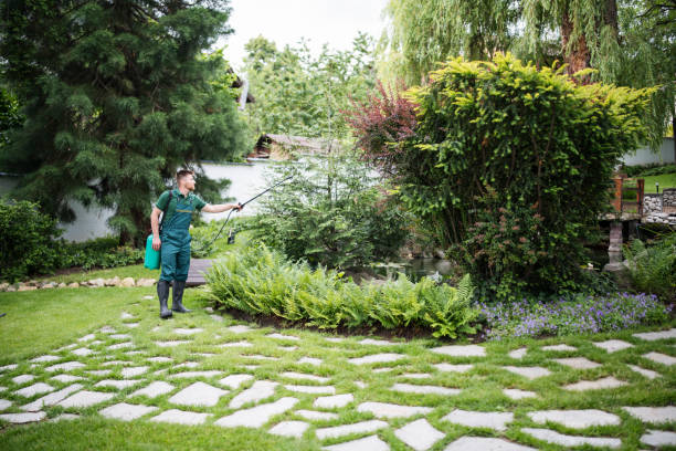 Best Best Pest Control Companies  in Westwood Lakes, FL