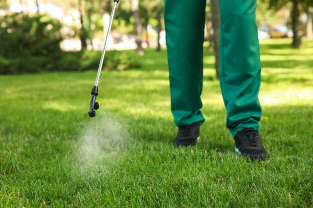 Best Spider Control Near Me  in Westwood Lakes, FL