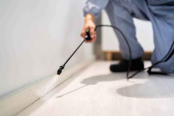 Best Termite Control Services  in Westwood Lakes, FL