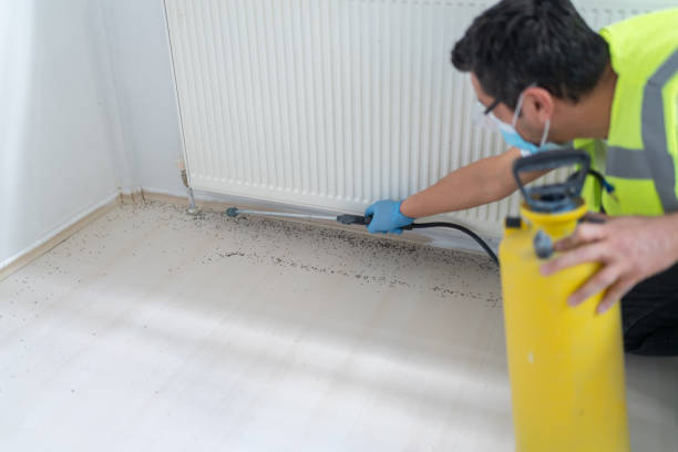Best Pest Removal Services  in Westwood Lakes, FL